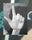 Hand landmark example 1